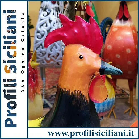 Profili Siciliani Ognina Bed & Breakfast *